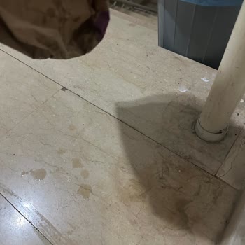 Çocuklarımı Üzen McDonald's Şahanesi