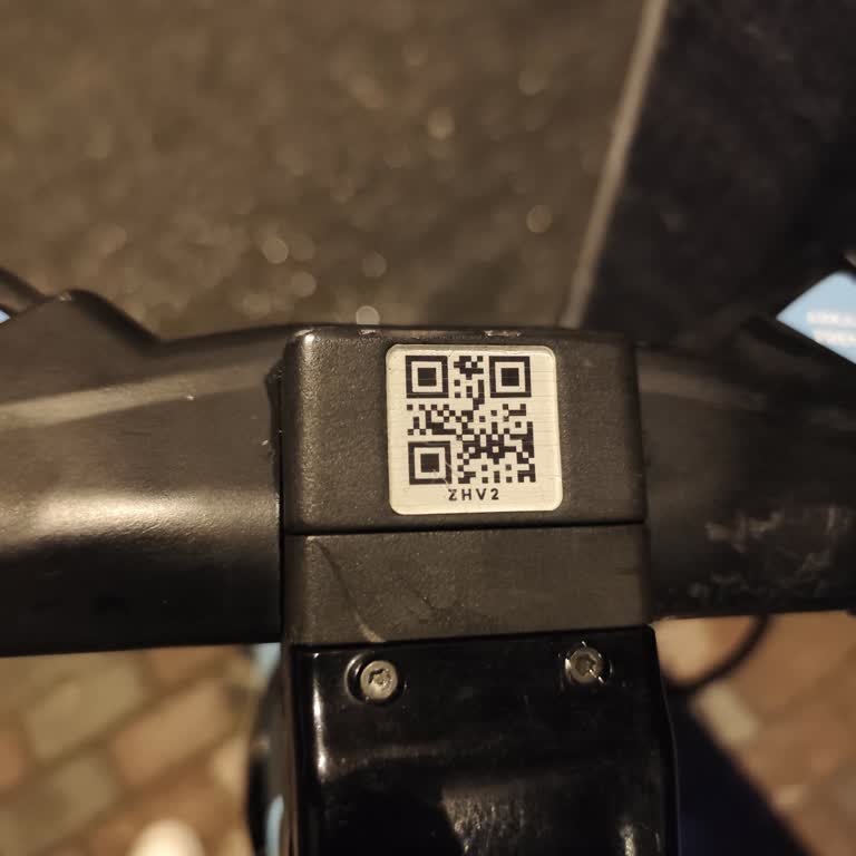 BinBin Binbir Scooter'ın Bitmeyen Gürültüsü