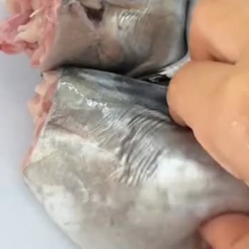 Migros'tan 20 Eylül'de Aldığım Palamutlar Bozuk Çıktı!