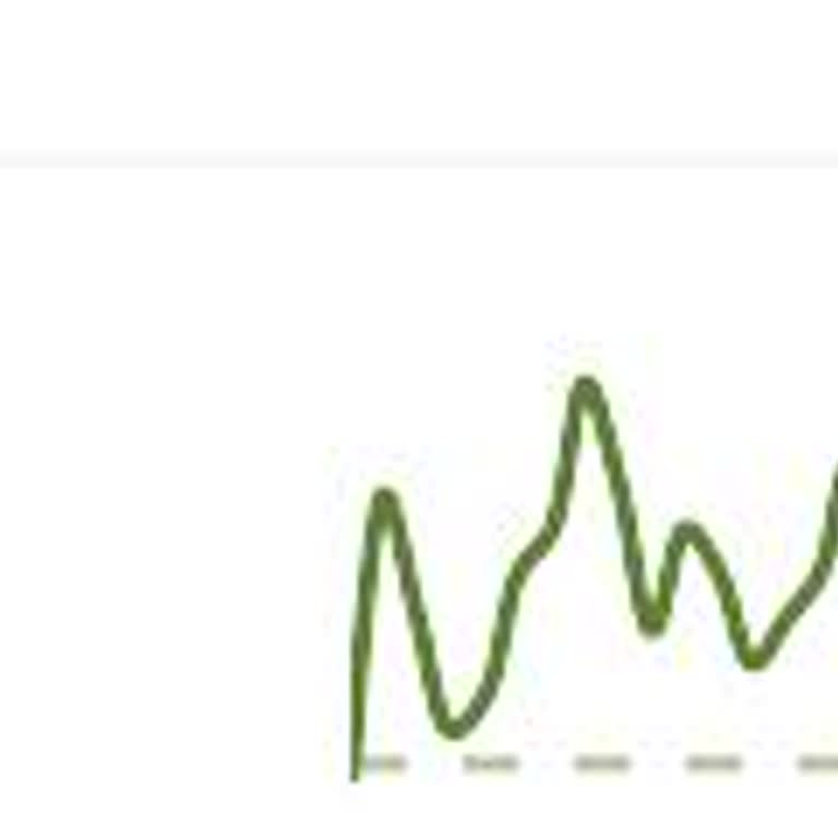 Paribu Reef Coin Piyasa Altı Değer Sorunu