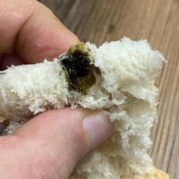Migros Ekmek İçerisinden Çıkan İlginç Böcek