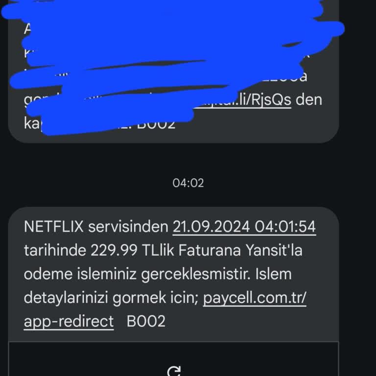 Netflix Kullanılmayan Hesaptan Ücret Tahsil Ediyor.