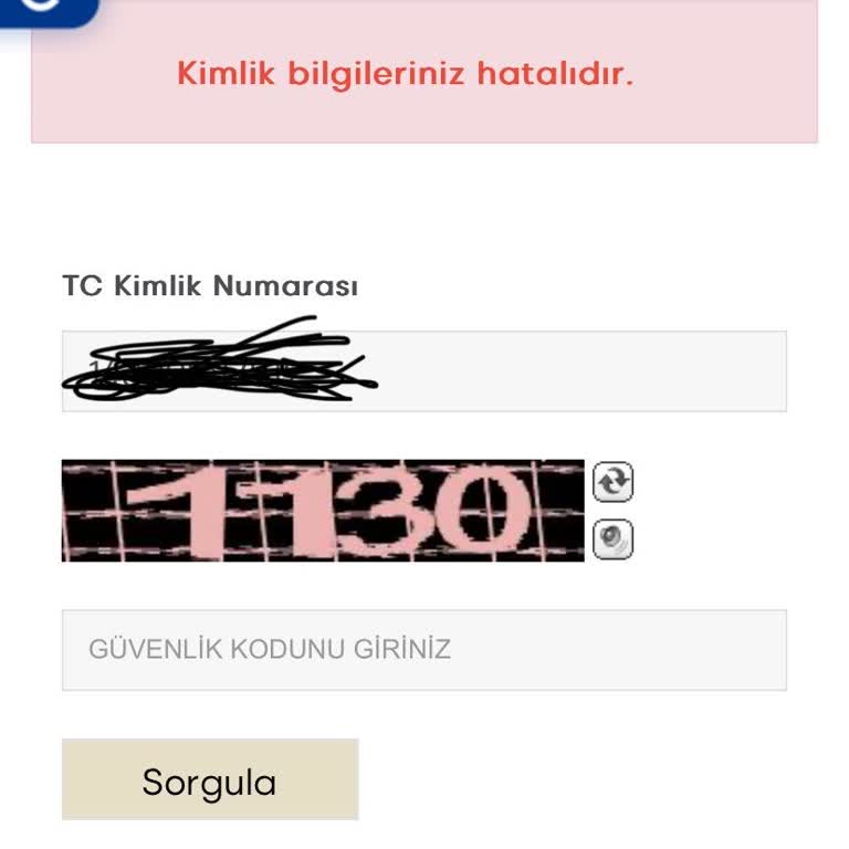 İzmir Büyük Şehir Belediyesi Gebelik Besleme Paketi