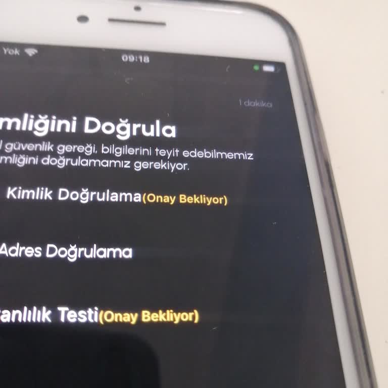 Slayz Kimlik Onayı