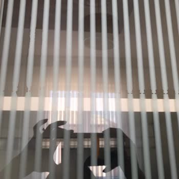 Modalife Teslimat Süresi Ve Ürün Kalitesi Sorunu