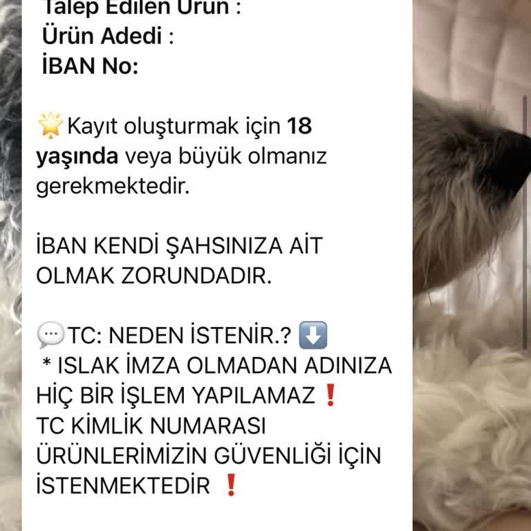 Evde Ekişi Paketleme Paketleme Acentesi Anahtarlık Evde Paketleme İşi