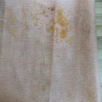 Niğde Halı Yıkama (Gölbaşı) Halımı Küflendirdi!