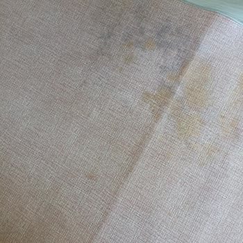 Niğde Halı Yıkama (Gölbaşı) Halımı Küflendirdi!