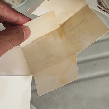 Kurtuluş Orman Çiftliği Boşa Giden Para