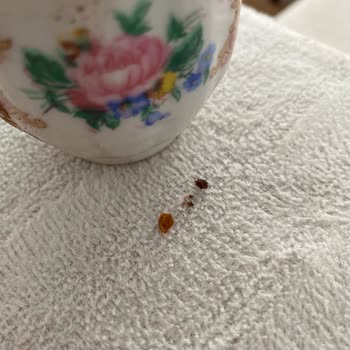 Harput Dibek Kahvenin İçinde Plastik Parçalar Bulundu