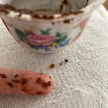 Harput Dibek Kahvenin İçinde Plastik Parçalar Bulundu