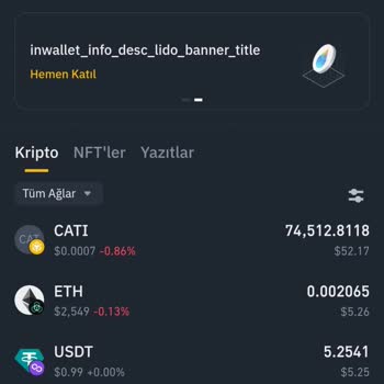 Binance Üzerinde Pancakeswap V3 Catizen Satış Problemi