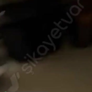 Karaca Çaysever Çok Tehlikeli!
