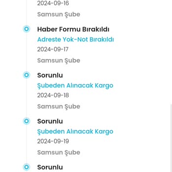 Kargoist Kurye Zile Basmadan Gidiyor