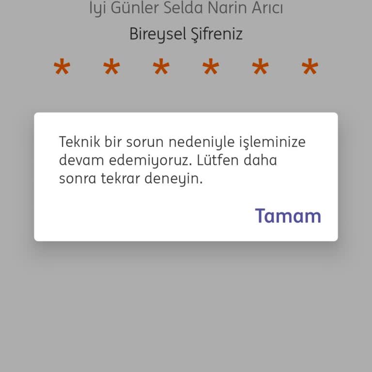 ING Bank Teknik Sorun