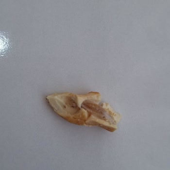 Ege Yükselen Kuruyemiş Aldığım Kajunun Kurtlu Çıkması