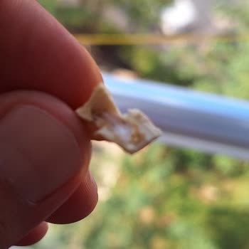 Ege Yükselen Kuruyemiş Aldığım Kajunun Kurtlu Çıkması