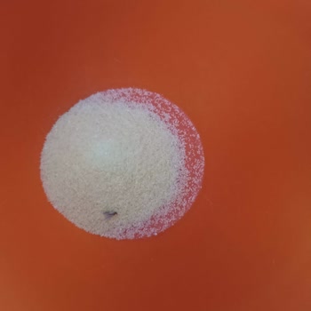 Filiz Makarna Marketten Alınan Üründe Kusur Tespiti