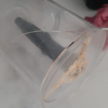 Sinbo Doğrayıcımın Doğrama Haznesi Birçok Yerinden Çatlak.