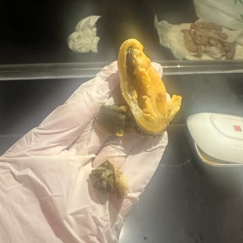 Metro Grossmarket Metro Marketin Midyeleri Pis Ve Temizlenmemiş