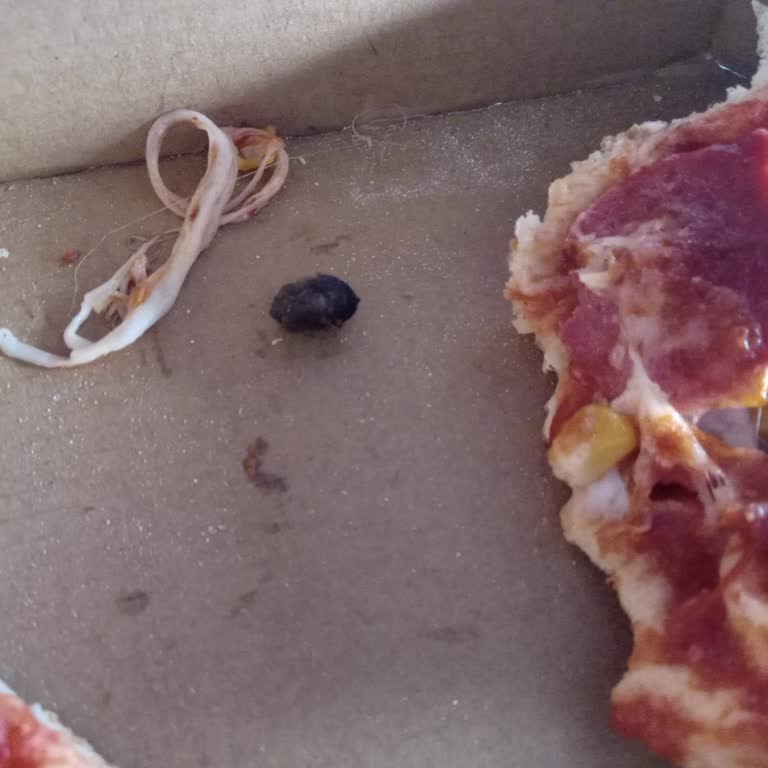 Domino's Pizzada Zeytin Çekirdeği Çıktı