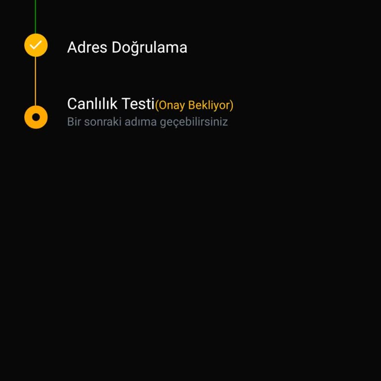 Slayz Kimlik Doğrulama