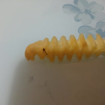 Burger King Siparişimde Böcek Çıktı Ve Yemekler Bayattı