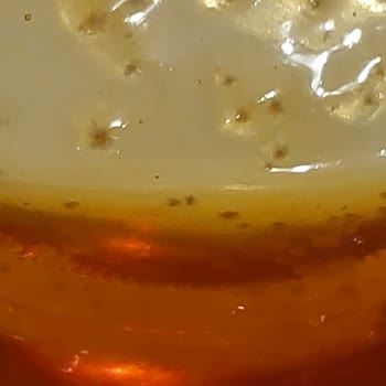 AOÇ Balındaki Akıl Karıştıran Görüntü