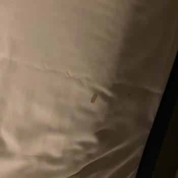 Setur Phuket Turu Lağım, Rutubet Kokan Bir Otel Ve Rehberin Olmaması.