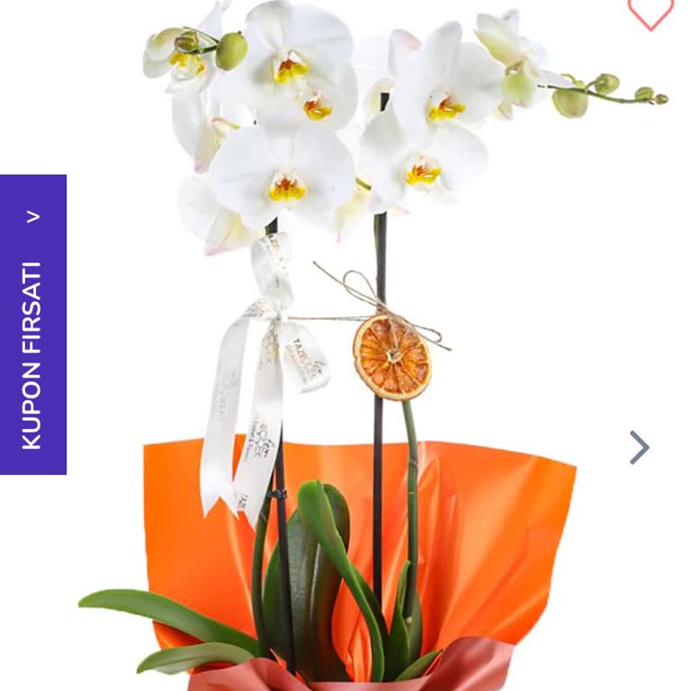 Taze Çiçek (tazecicek.com) Ürün İadesi Ve Müşteri Hizmetleri Sorunu