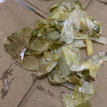 Burger King Geç Teslimat Ve Kalitesiz Ürünler