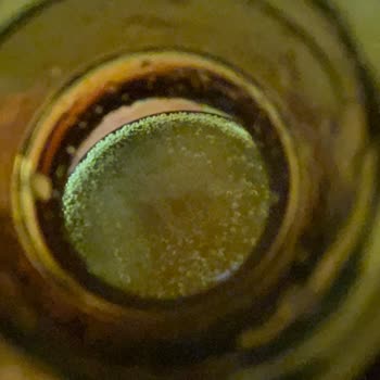 Argivit Focus Asitlenmiş Köpürüyor