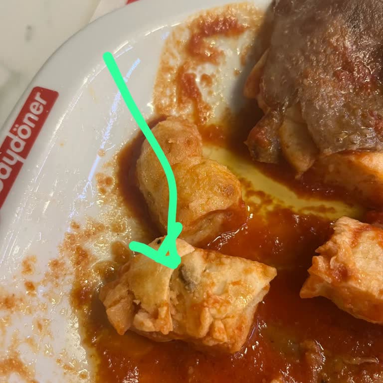 Baydöner Denizli Aquamall'da İskender'deki Pidede Fare Dışkısı.