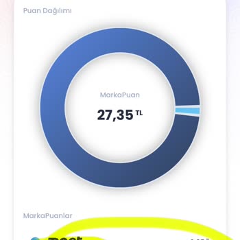 Chippin Cebimizden Çıkan Parayı Alamadık