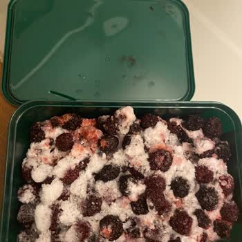 Migros ! Lavi Juice Lavi Dondurulmuş Meyve Bozuk Çıktı!