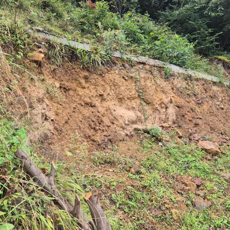 Araklı Belediyesi İstinat Duvarının Yapılmaması Hk.