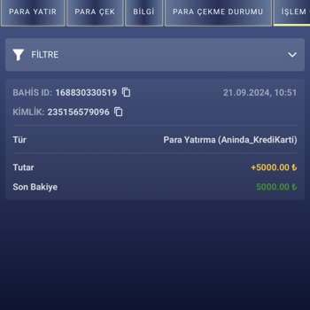 Tlcasino Bahis Sitesinde Çevrim Ve Çekim Sorunları
