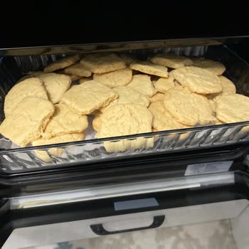 Alveus 2 Haftalık Çileli Yolculuk