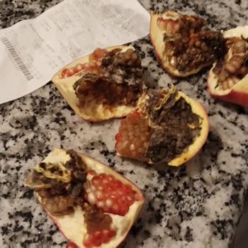 Migros'tan Aldığım Ürün Çürük Çıktı