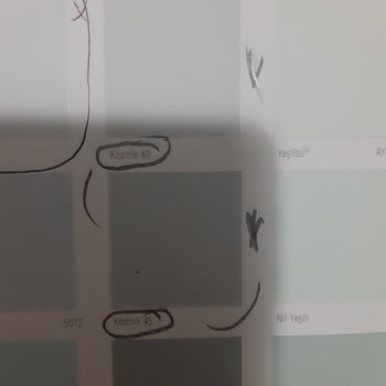 Filli Boya'nın Renk Kartela Hatası Kozmik 45