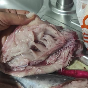 Migros Sanal Sipariş Bozuk Balık Gönderdi.