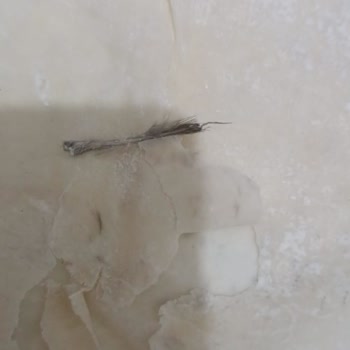 BİM Yufkadan. Kuş Tüyleri