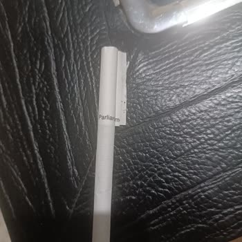 Hatalı Basım Parliament