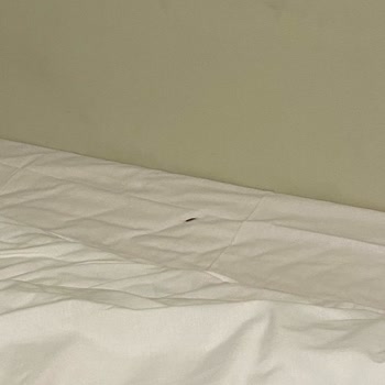 Prontotour Orta Avrupa Turu Oteller Uzak Ve Kirli, Rehber İlgisiz