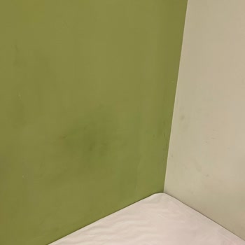 Prontotour Orta Avrupa Turu Oteller Uzak Ve Kirli, Rehber İlgisiz