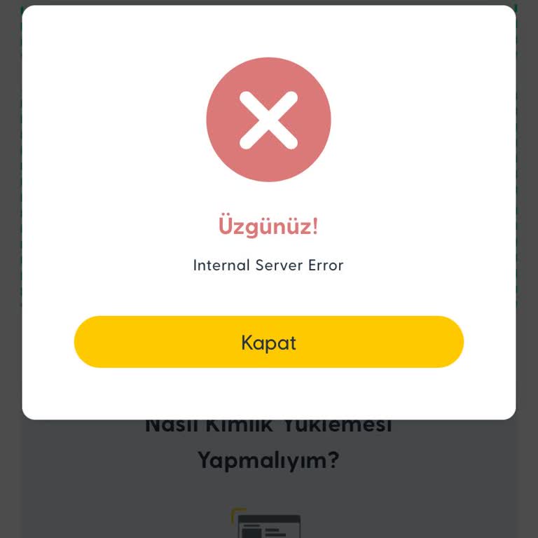 Turkcell E-Devlet Yönlendirme Sorunu