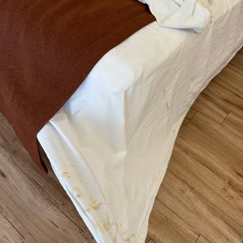Villa Kalkan Kötü Tatil Deneyimi