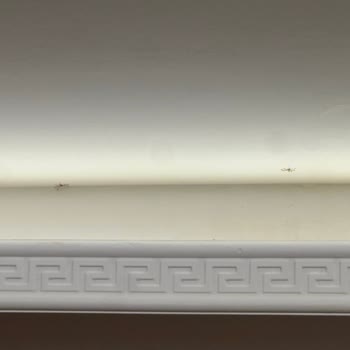 Villa Kalkan Kötü Tatil Deneyimi