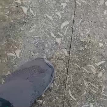 Derimod Ayıplı Mal Satmış Olup, Malına Sahip Çıkmıyor!
