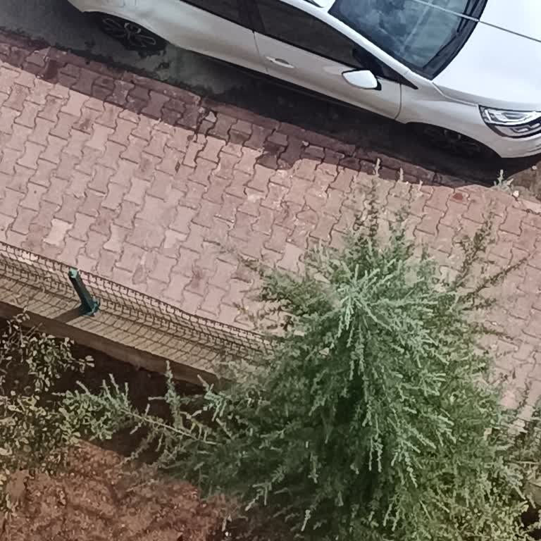 Renault Sağ Ayna Ara Sıra Açılmıyor